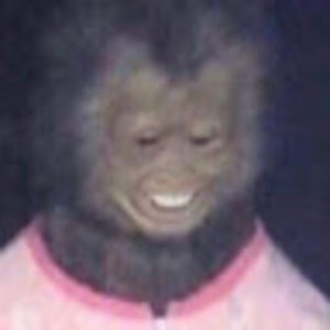 Meet your Posher, Serena